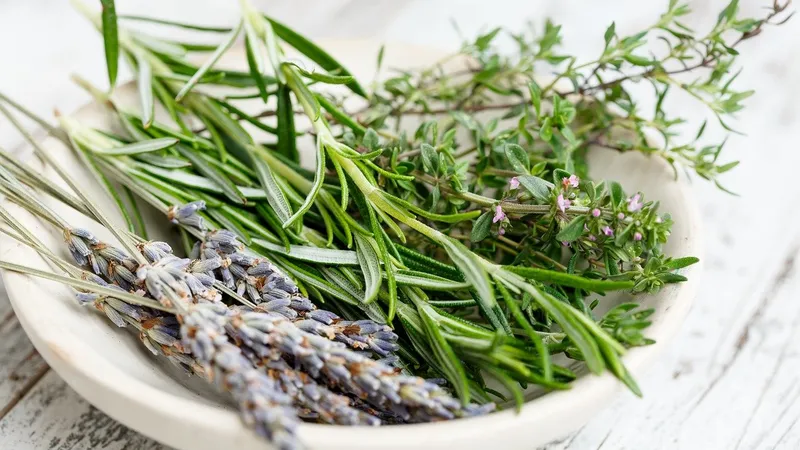 La tisane et ses bienfaits